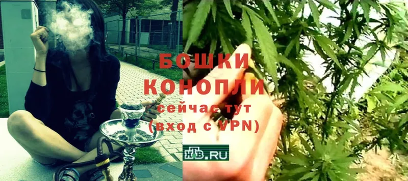 Бошки Шишки White Widow  наркошоп  Белая Калитва 